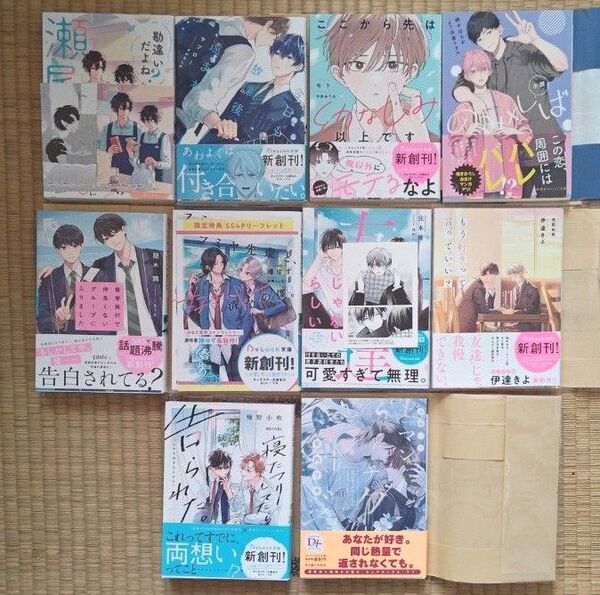 BL小説 まとめ売り セット売り 10冊
