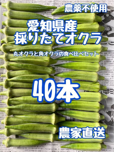 採りたてオクラ40本