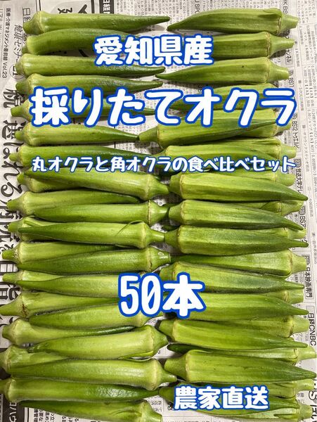 採りたてオクラ50本(丸オクラと角オクラの食べ比べセット)