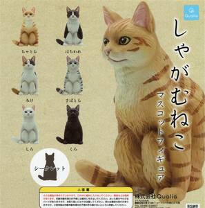 ♯　(台紙のみ)　ガチャ　しゃがむねこ　マスコットフィギュア　猫　ネコ　(台紙/POP)　非売品