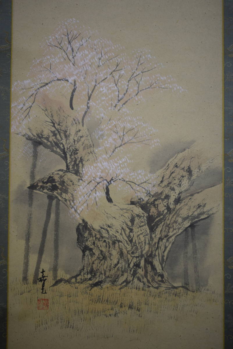 [Authentique] //Kiaki/Sakura Painting/Hoteiya Hanging Scroll HH-615, Peinture, Peinture japonaise, Fleurs et oiseaux, Faune