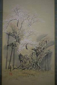 Art hand Auction [Œuvre authentique] //Yoshiaki/Sakura Gasan/Hotei-ya parchemin suspendu HH-615, peinture, Peinture japonaise, fleurs et oiseaux, oiseaux et bêtes