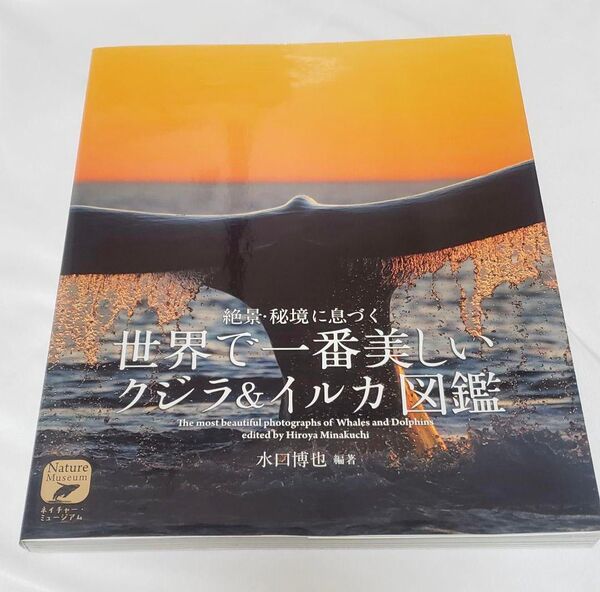 世界で一番美しい クジラ&イルカ図鑑 絶景・秘境に息づく 水口 博也