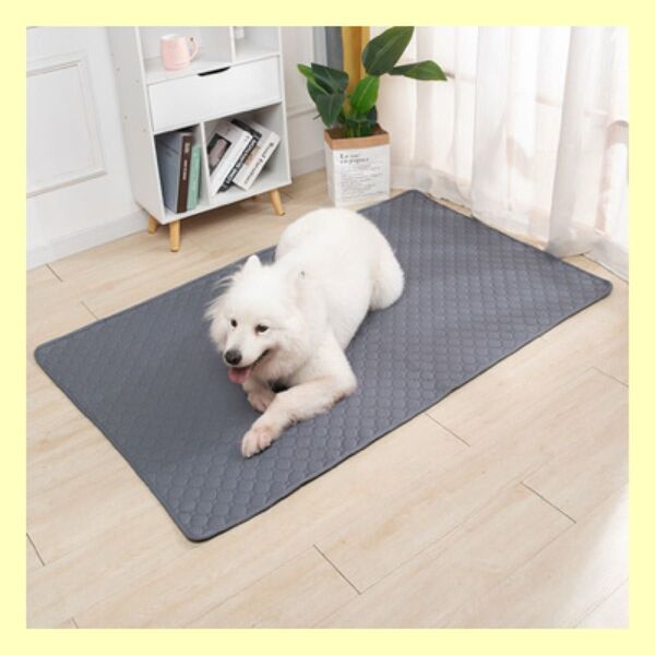 ペットシーツ 洗える 2枚セット Lサイズ 犬 猫 防水 マット 100×70cm