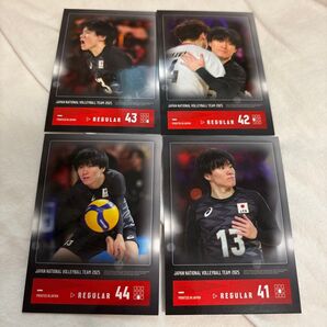 男子バレーボール 日本代表 トレーディングカード 2025年 小川智大 龍神NIPPON