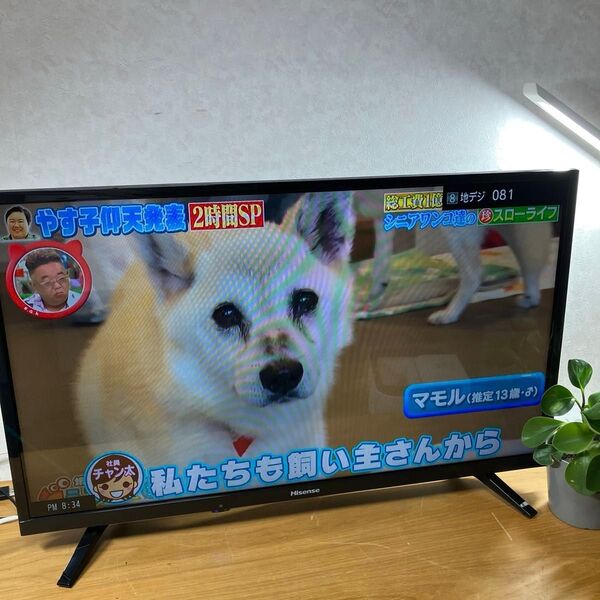 32インチ液晶テレビ Hisense 32A50 2019年製