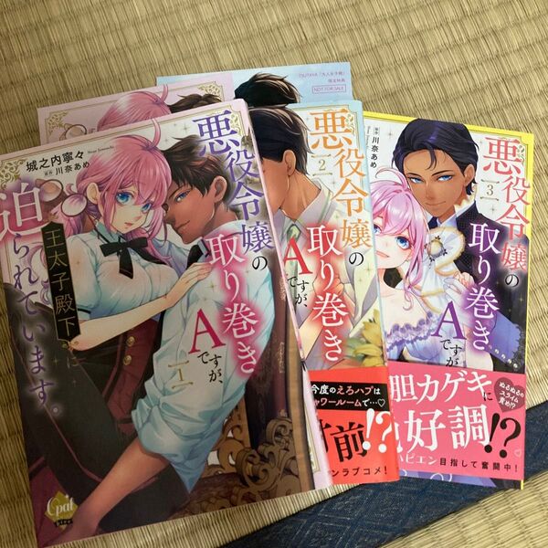 悪役令嬢の取り巻きAですが、王太子殿下に迫られています。