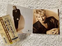 良品 ROD STEWART　ロッド・スチュワート　A SPINNER IN THE WORKS　ユア・ザ・スター　国内盤　帯付き　ボーナス・トラック収録　送料無料_画像5