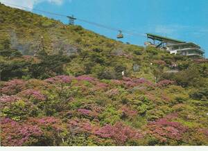 ☆◎ロープウエイ◎雲仙【仁田峠 ロープウェイ】◇絵葉書◇長崎県◇ 