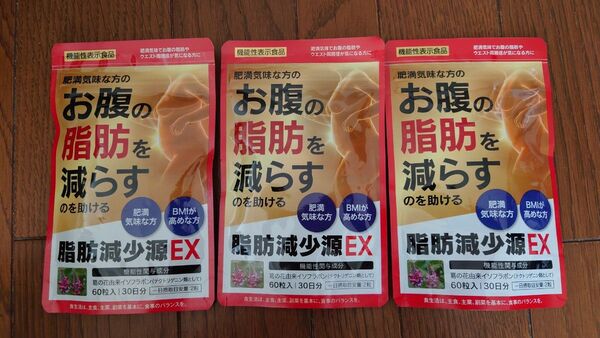 未開封品 脂肪減少源 EX 60粒入り 3個セット 機能性表示食品