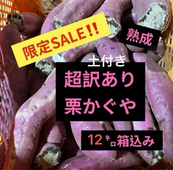 熟成栗かぐや超訳あり土付き12㌔箱込み
