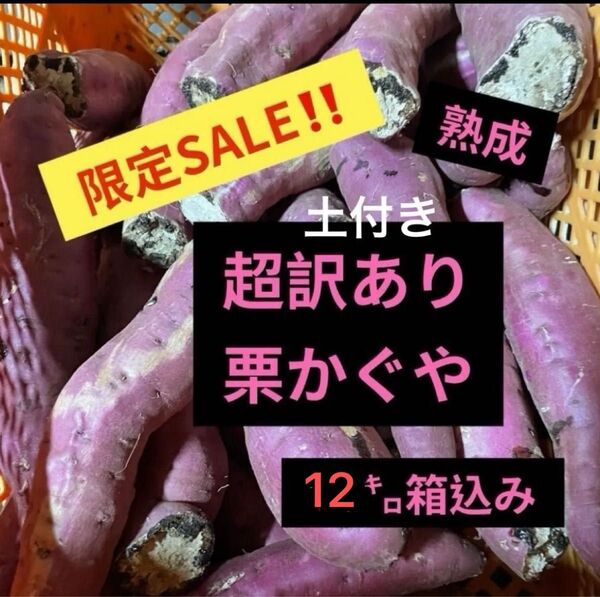 熟成栗かぐや超訳あり土付き12㌔