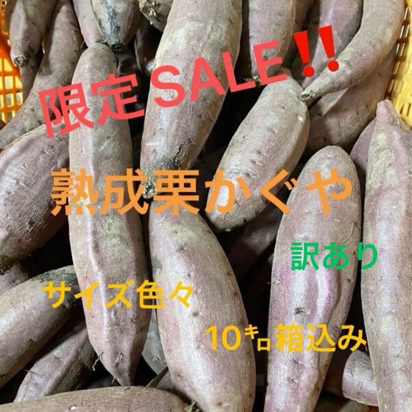 熟成栗かぐや訳あり10㌔箱込み