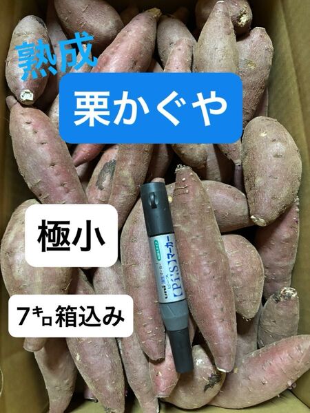熟成栗かぐや極小サイズ7㌔箱込み