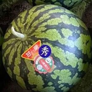 L玉 すいか 上津深江 天草産 1玉5.5kg以上 箱は簡易箱で発送 送料込み