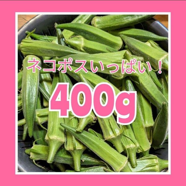 オクラ ネコポスいっぱい