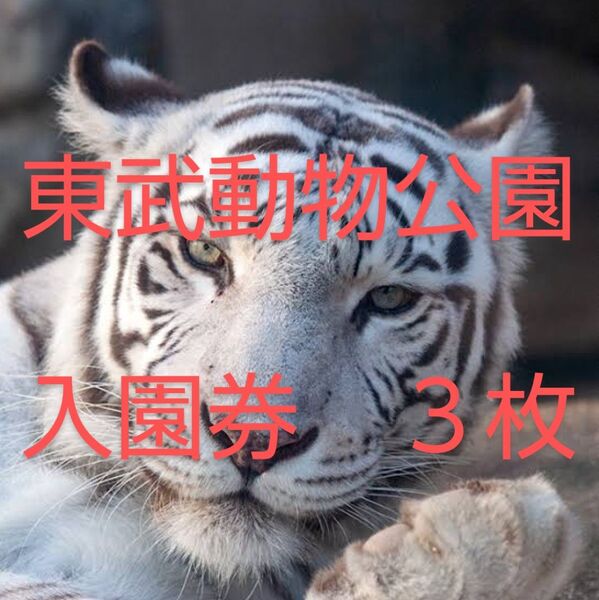 東武動物公園 入園券3枚 アトラクションパス割引券3枚 セット 無料 招待