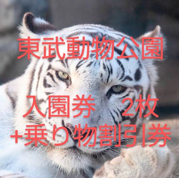 東武動物公園 入園券 ペア 2枚 無料券 アトラクションパス 割引券 入場券