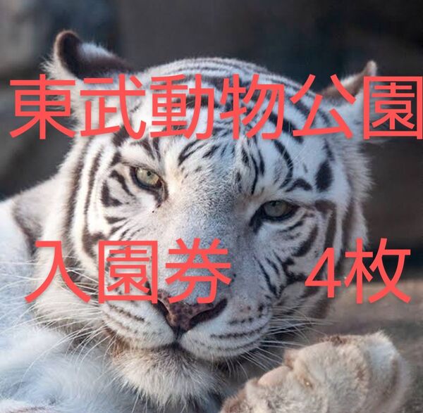 東武動物公園 入園券 4枚 4名 アトラクションパス 割引券 東武スーパープール