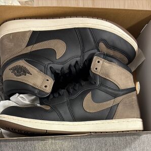 Nike Air jordan1