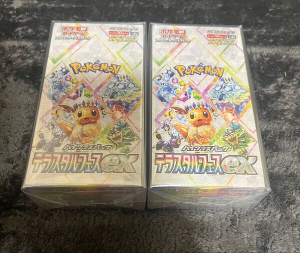 テラスタルフェスex 2BOX シュリンク付き 硬質ローダー