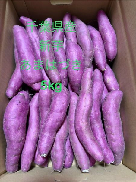 25年産 あまはづき 5kg Sサイズ 千葉県産