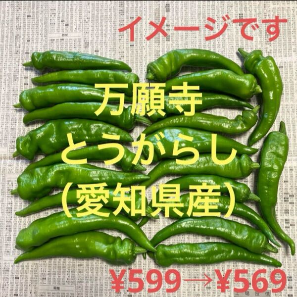 万願寺とうがらし(愛知県産)300g