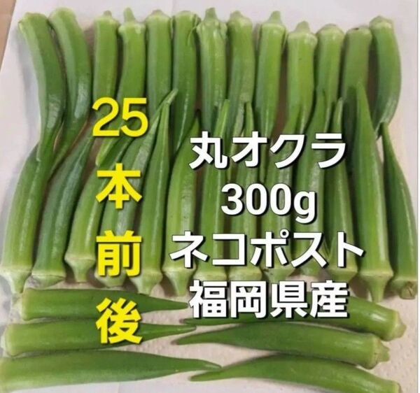丸オクラ300g 福岡県産
