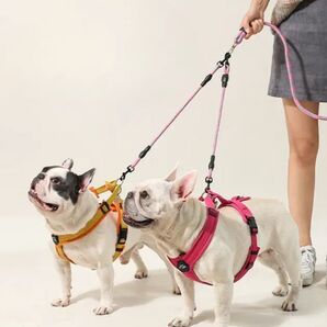 からまない2頭引きリード