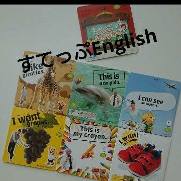 すてっぷEnglish しまじろう DVD こどもちゃれんじ