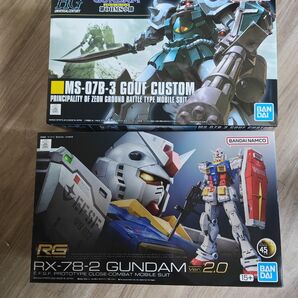 rg rx-78-2 ガンダム ver.2.0 グフカスタム 2点セット 再出品可能