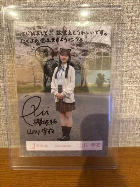 櫻坂46 生写真 ヒキ 直筆