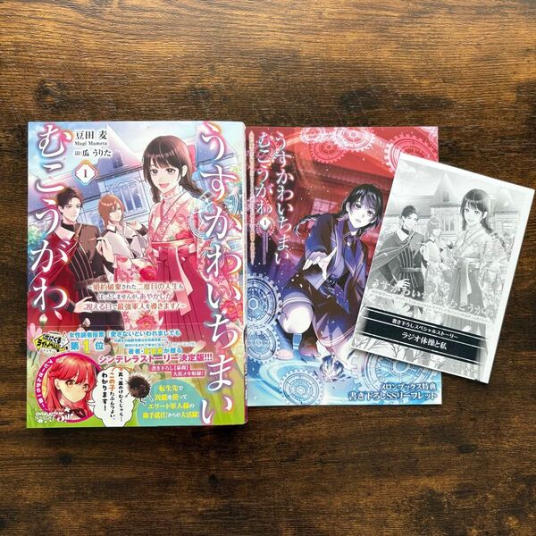 うすかわいちまいむこうがわ 1 メロンブックス SSリーフレット 特約店 SSペーパー 豆田麦 瓜うりた オーバーラップノベルス