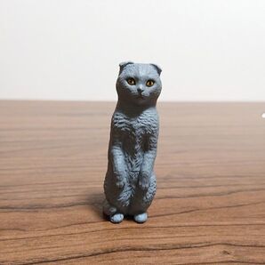 森口修監修 ねこぶそう 猫フィギュアのみ スコティッシュフォールド