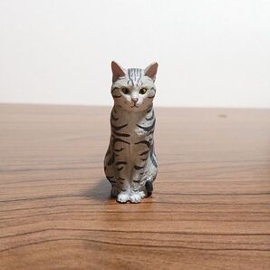 森口修監修 ねこぶそう 猫フィギュアのみ アメリカンショートヘア アメショー