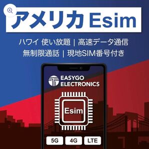 アメリカeSim ハワイeSim 10日間 高速データ通信無制限使い放題 アメリカsim 現地無料通話 SMS使い放題