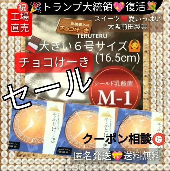 クーポン◎再出品OK● チョコけーき 6号(大きいサイズ)☆そふとけーき 3枚 アウトレット スイーツ☆愛いっぱい 大阪前田製菓