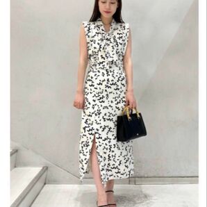 スナイデル ワンピース