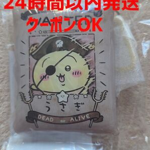 ちいかわ アドベンチャー カラビナ付き クリアポーチ うさぎ ポーチ