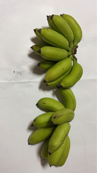 島バナナ 2kg