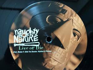 10枚落札で送料無料 // NAUGHTY BY NATURE / LIVE OR DIE