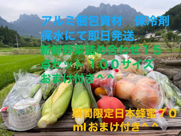 新鮮野菜詰め合わせ15点セット 期間限定日本蜂蜜70mlおまけ付き^ ^ 限定20セット100サイズおまけ付き^ ^発送