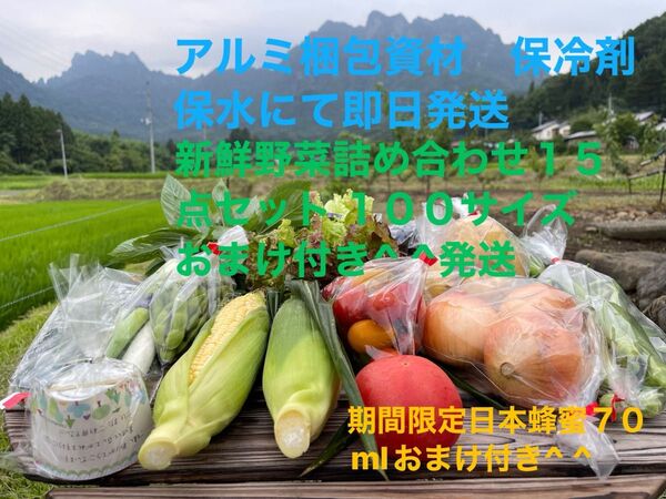 新鮮野菜詰め合わせ15点セット 期間限定日本蜂蜜70mlおまけ付き^ ^ 限定20セット100サイズおまけ付き^ ^発送
