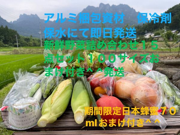 新鮮野菜詰め合わせ15点セット 期間限定日本蜂蜜70mlおまけ付き^ ^ 限定20セット100サイズおまけ付き^ ^発送