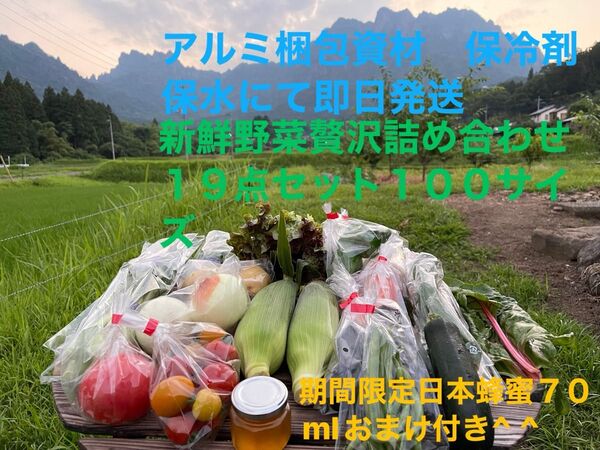 新鮮野菜贅沢詰め合わせ19点セット 期間限定日本蜂蜜70mlおまけ付き^ ^ 100サイズ