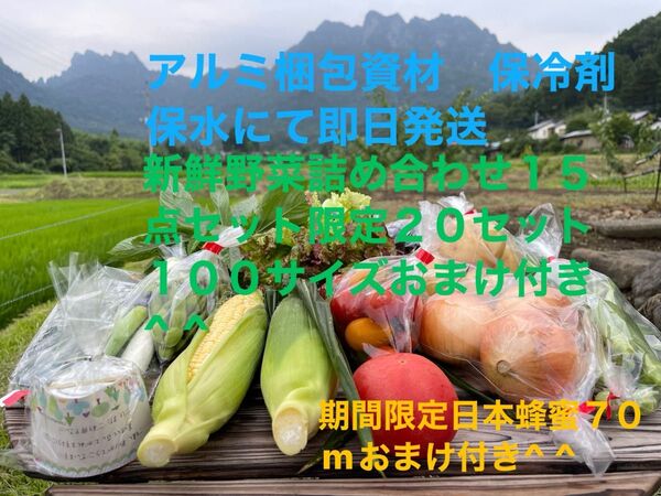 新鮮野菜詰め合わせ15点セット 期間限定日本蜂蜜70mlおまけ付き^ ^ 限定20セット100サイズおまけ付き^ ^発送