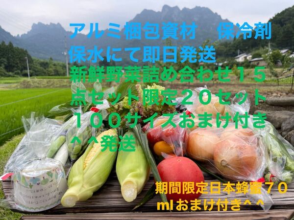 新鮮野菜詰め合わせ15点セット 期間限定日本蜂蜜70mlおまけ付き^ ^100サイズ