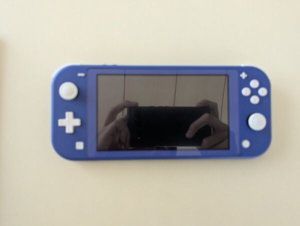 Nintendo Switch Lite 任天堂 ライト ニンテンドー