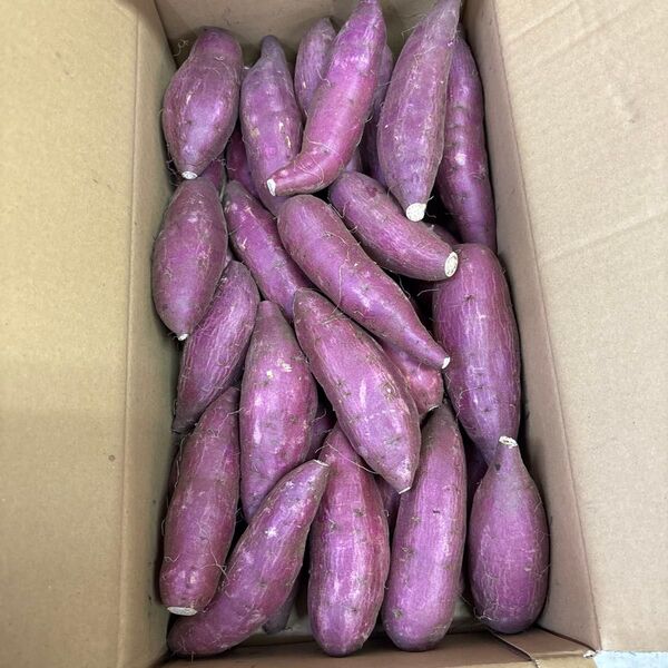 A品 農薬不使用紅はるか 箱込み10キロ SからMサイズ