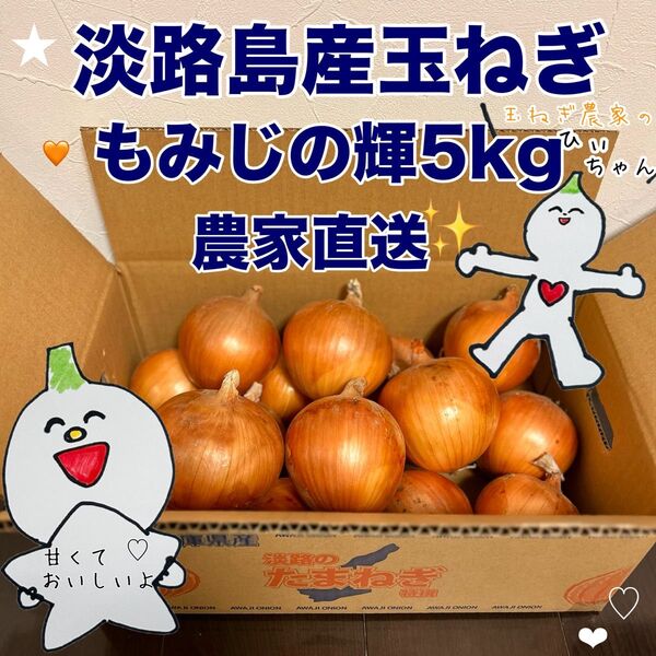 淡路島産完熟成玉ねぎ晩生もみじの輝5kg☆農家直送